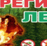 Штормовое предупреждение о высокой пожарной опасности лесов на территории Республики Татарстан - Мамадышский район
