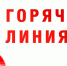 Горячая линия Роспотребнадзора - Мамадышский район