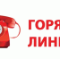 О проведении горячей линии - Мамадышский район