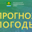 Консультация – предупреждение об интенсивности метеорологических явлений местами с 21 час. 10 января до 18 час. 11 января 2024 г. - Мамадышский район