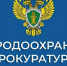 Казанская межрайонная природоохранная прокуратура информирует - Мамадышский район