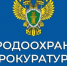 Казанской межрайонной природоохранной прокуратурой проводится проверка исполнения лесного законодательства, в том числе об охране лесов от пожаров - Мамадышский район