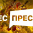 Рослесхоз: продолжается прием заявок на III Всероссийский конкурс для журналистов и блогеров «ЛЕС-ПРЕСС» - Мамадышский район