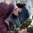 Сельскохозяйственная ярмарка с раннего утра собрала жителей Мамадыша на центральной площади - Мамадышский район